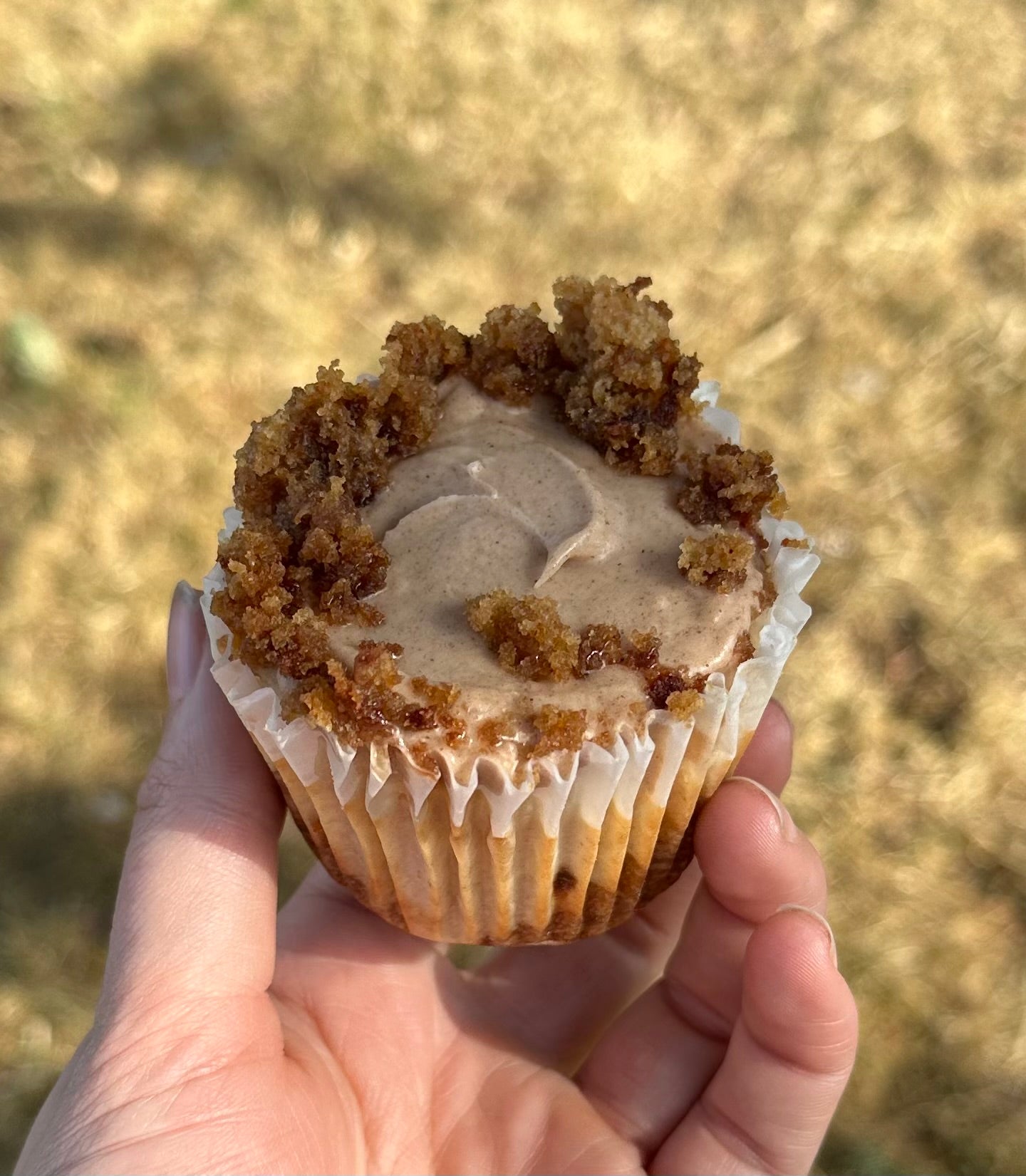 Mini Carrot Cake Cheesecake